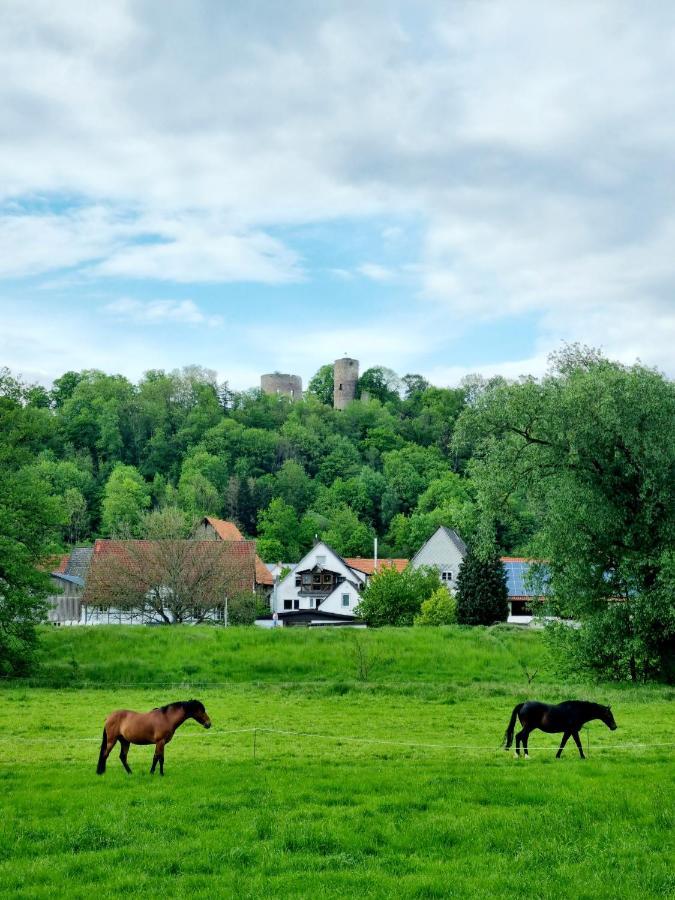 Ferienhaus Diemelaue Mit Klimaanlage Bad Karlshafen Exterior foto